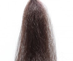 Predator Hair / Braun